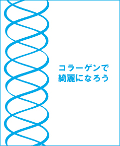 コラーゲンで綺麗になろう トップ